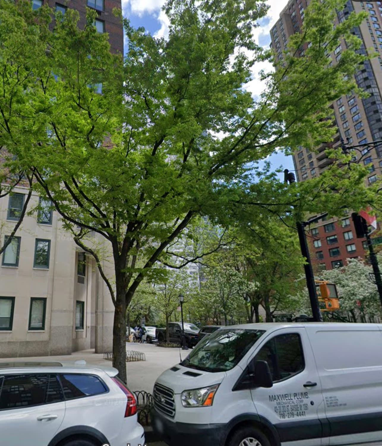 Littleleaf Linden at 210 South End Avenue, with a broad green canopy above the Battery Park City sidewalk